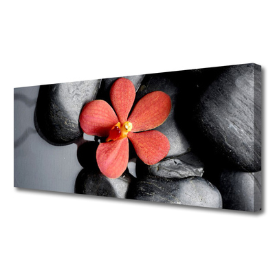 Canvas Kunstdruck Blume Steine Kunst