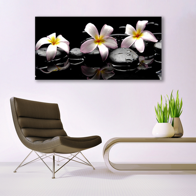 Canvas Kunstdruck Blumen Steine Pflanzen