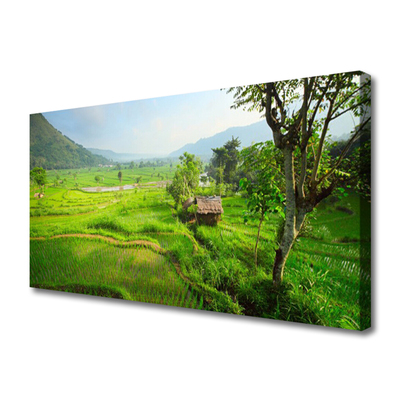 Canvas Kunstdruck Wiese Natur