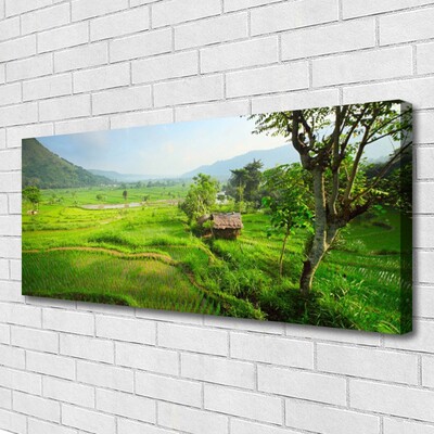 Canvas Kunstdruck Wiese Natur