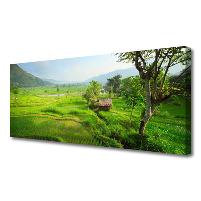 Canvas Kunstdruck Wiese Natur