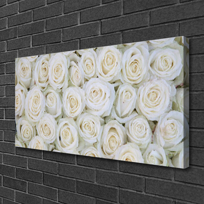 Canvas Kunstdruck Rosen Pflanzen