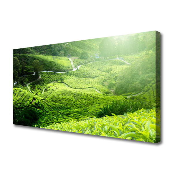 Canvas Kunstdruck Wiese Natur