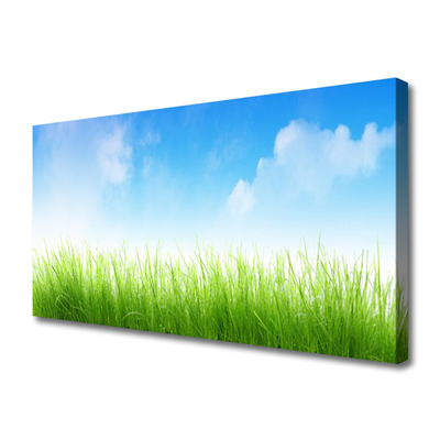 Canvas Kunstdruck Gras Natur