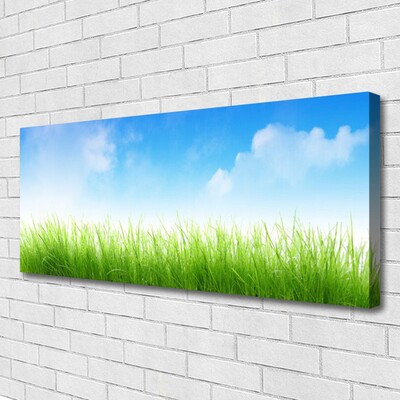 Canvas Kunstdruck Gras Natur