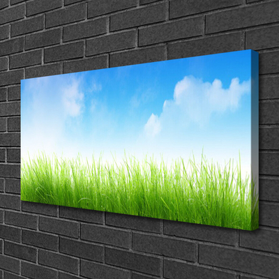 Canvas Kunstdruck Gras Natur