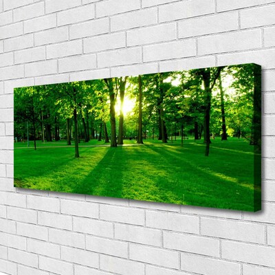 Canvas Kunstdruck Wald Natur