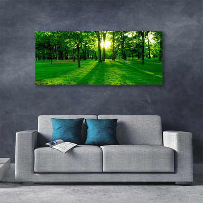 Canvas Kunstdruck Wald Natur