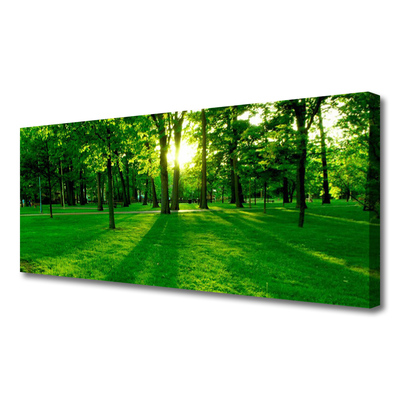 Canvas Kunstdruck Wald Natur