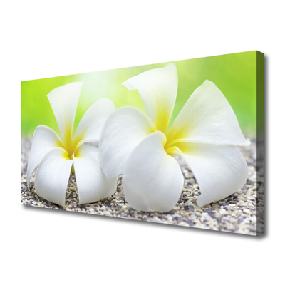 Canvas Kunstdruck Blumen Pflanzen