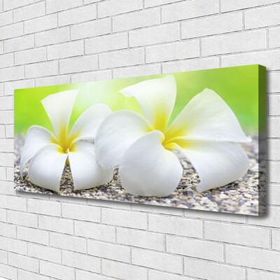 Canvas Kunstdruck Blumen Pflanzen