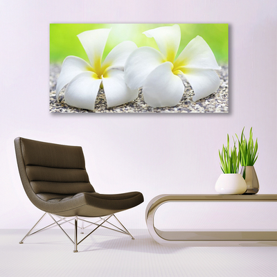 Canvas Kunstdruck Blumen Pflanzen