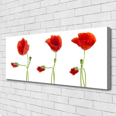 Canvas Kunstdruck Mohnblumen Pflanzen