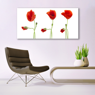 Canvas Kunstdruck Mohnblumen Pflanzen