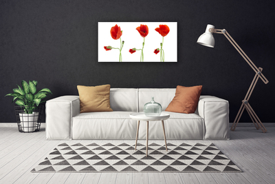 Canvas Kunstdruck Mohnblumen Pflanzen