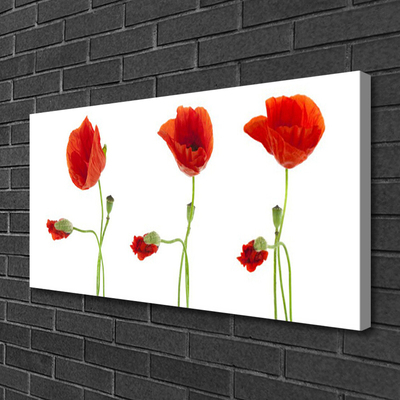 Canvas Kunstdruck Mohnblumen Pflanzen