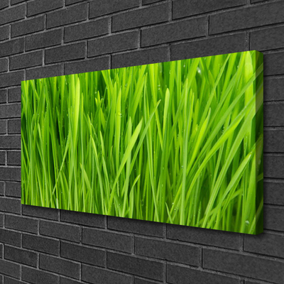 Canvas Kunstdruck Gras Pflanzen