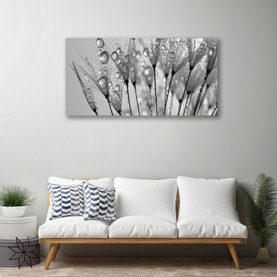 Canvas Kunstdruck Pusteblume Pflanzen