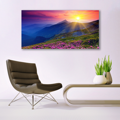 Canvas Kunstdruck Gebirge Blumen Wiese Landschaft