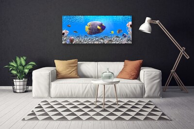Canvas Kunstdruck Fische Natur