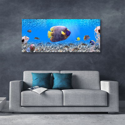 Canvas Kunstdruck Fische Natur