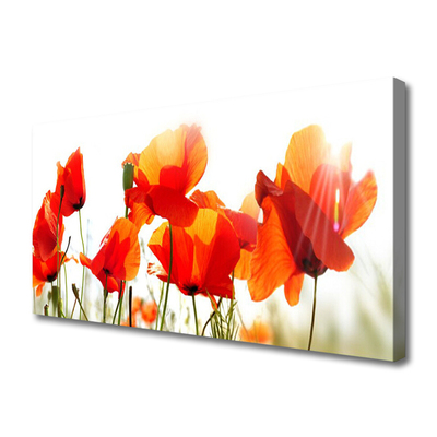 Canvas Kunstdruck Mohnblumen Pflanzen