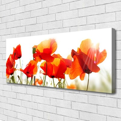 Canvas Kunstdruck Mohnblumen Pflanzen