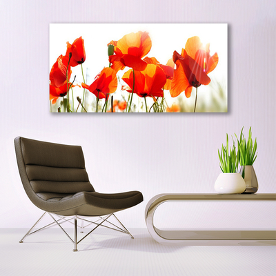 Canvas Kunstdruck Mohnblumen Pflanzen