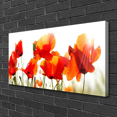 Canvas Kunstdruck Mohnblumen Pflanzen