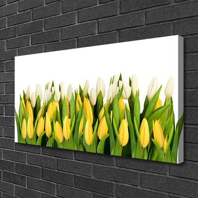 Canvas Kunstdruck Tulpen Pflanzen