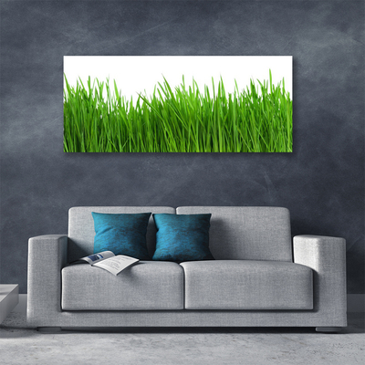 Canvas Kunstdruck Gras Natur