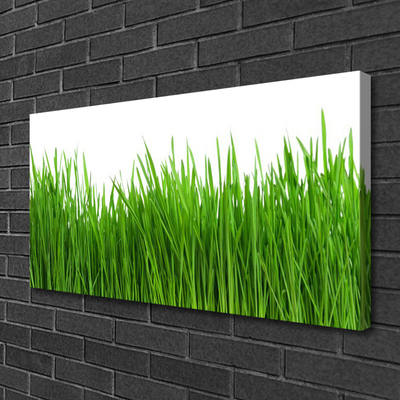 Canvas Kunstdruck Gras Natur