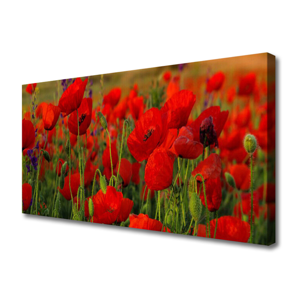 Canvas Kunstdruck Mohnblumen Pflanzen