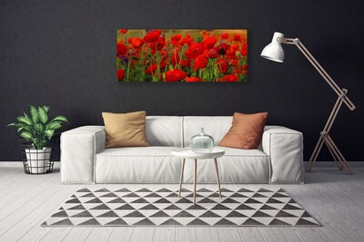 Canvas Kunstdruck Mohnblumen Pflanzen