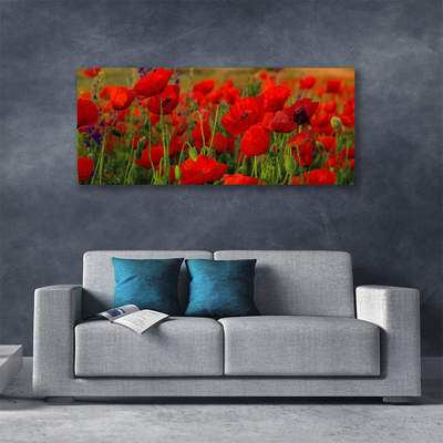 Canvas Kunstdruck Mohnblumen Pflanzen