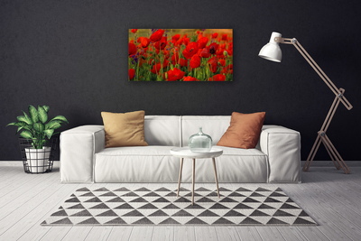 Canvas Kunstdruck Mohnblumen Pflanzen