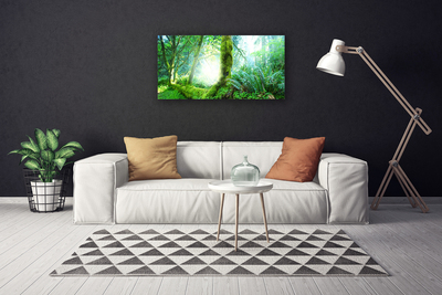 Canvas Kunstdruck Wald Natur