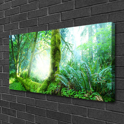 Canvas Kunstdruck Wald Natur