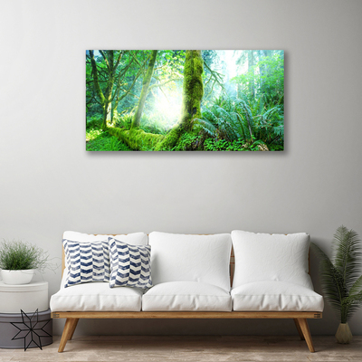 Canvas Kunstdruck Wald Natur