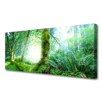 Canvas Kunstdruck Wald Natur