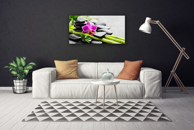 Canvas Kunstdruck Bambusrohre Blume Steine Kunst