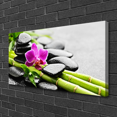 Canvas Kunstdruck Bambusrohre Blume Steine Kunst