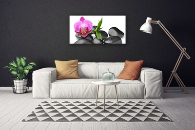 Canvas Kunstdruck Blume Steine Kunst