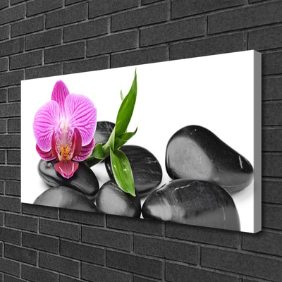 Canvas Kunstdruck Blume Steine Kunst