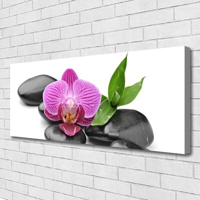 Canvas Kunstdruck Blume Steine Kunst