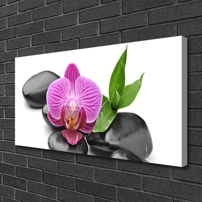 Canvas Kunstdruck Blume Steine Kunst