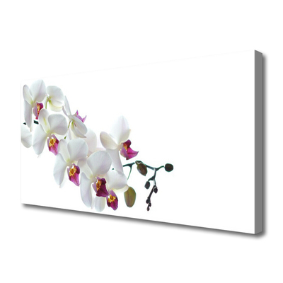 Canvas Kunstdruck Blumen Pflanzen