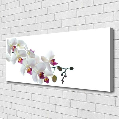 Canvas Kunstdruck Blumen Pflanzen