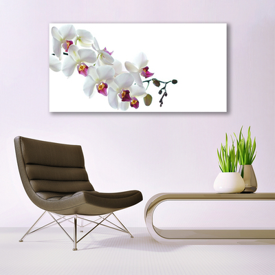 Canvas Kunstdruck Blumen Pflanzen