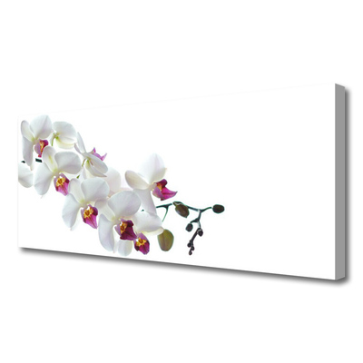 Canvas Kunstdruck Blumen Pflanzen